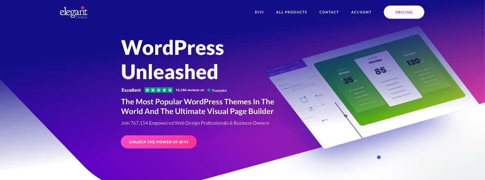 Divi beste WordPress thema kiezen
